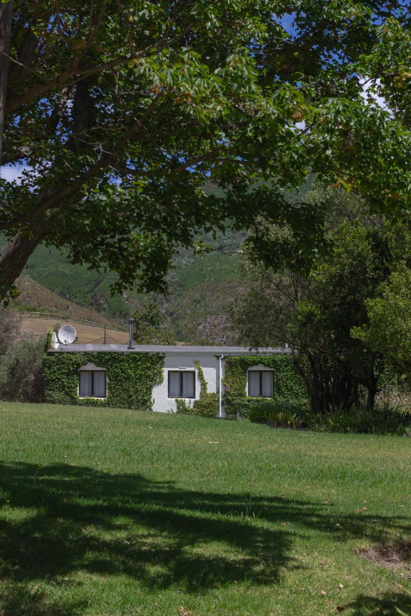 Three Streams Cottage Franschhoek Dış mekan fotoğraf
